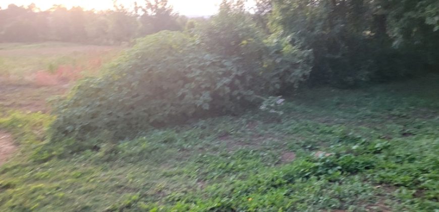 1/4 Of An Acre Fronting Tarmac In Kikuyu