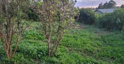1/4 Of An Acre Fronting Tarmac In Kikuyu