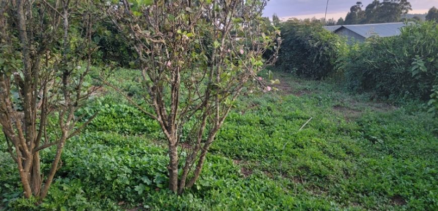 1/4 Of An Acre Fronting Tarmac In Kikuyu