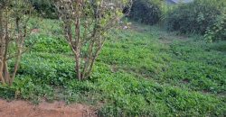 1/4 Acre Plot in Kikuyu, Fronting Tarmac