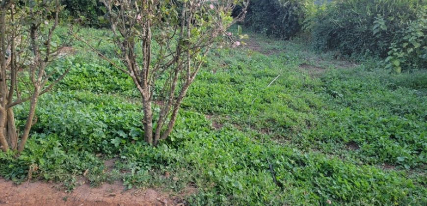 1/4 Acre Plot in Kikuyu, Fronting Tarmac