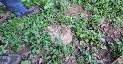 1/4 Acre Plot in Kikuyu, Fronting Tarmac