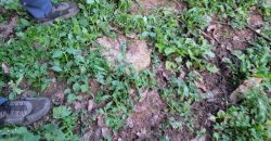 1/4 Of An Acre Fronting Tarmac In Kikuyu
