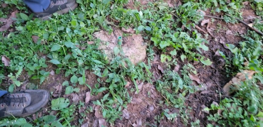 1/4 Of An Acre Fronting Tarmac In Kikuyu