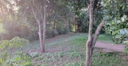 1/4 Acre Plot in Kikuyu, Fronting Tarmac