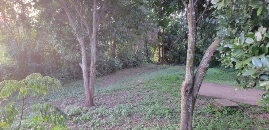 1/4 Acre Plot in Kikuyu, Fronting Tarmac