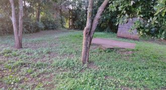 1/4 Of An Acre Fronting Tarmac In Kikuyu