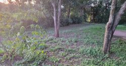 1/4 Acre Plot in Kikuyu, Fronting Tarmac
