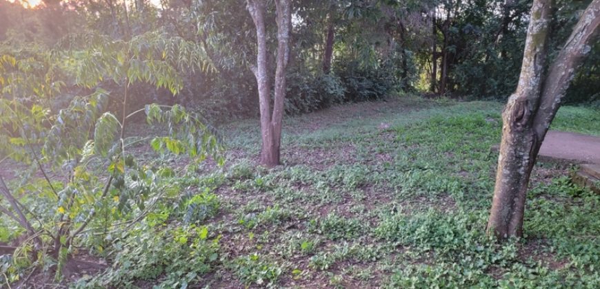 1/4 Acre Plot in Kikuyu, Fronting Tarmac