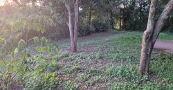 1/4 Acre Plot in Kikuyu, Fronting Tarmac