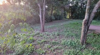 1/4 Acre Plot in Kikuyu, Fronting Tarmac
