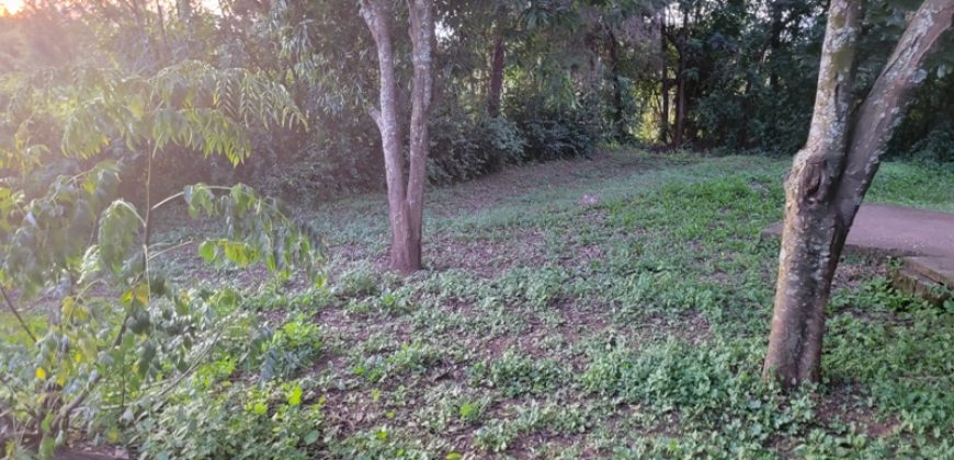 1/4 Acre Plot in Kikuyu, Fronting Tarmac