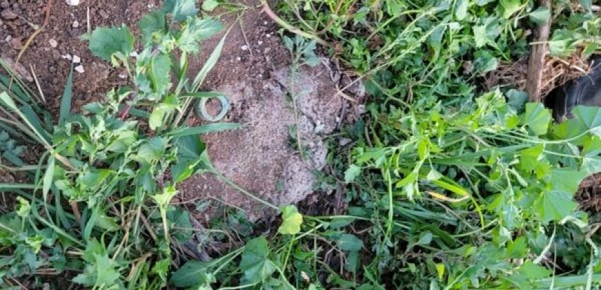 1/4 Acre Plot in Kikuyu, Fronting Tarmac