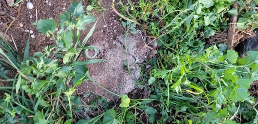 1/4 Acre Plot in Kikuyu, Fronting Tarmac