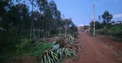 1/8 Acre Parcels in Kiriri